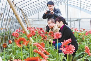 福建 2012年龙岩市花卉 绿化苗木种植面积居全省第二